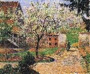 Camille Pissarro Flowering Plum Tree, Eragny oil painting on canvas
